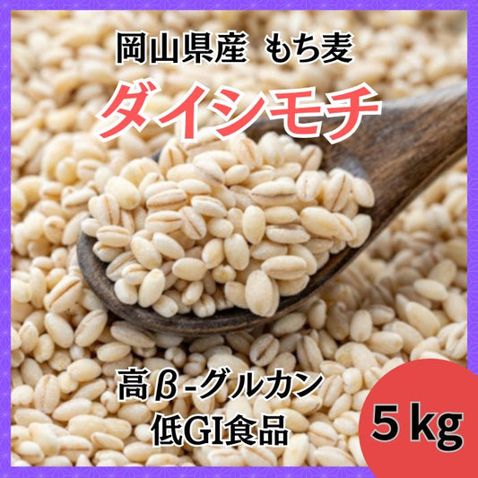 ★ダイシモチ / もち麦　5kg　令和7年岡山県産《毎日の健康に》