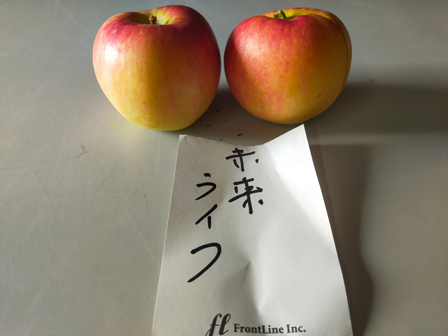 青森りんご　美来ライフ　訳あり3㎏（約12個～変動あり）佐川急便冷蔵【6138】