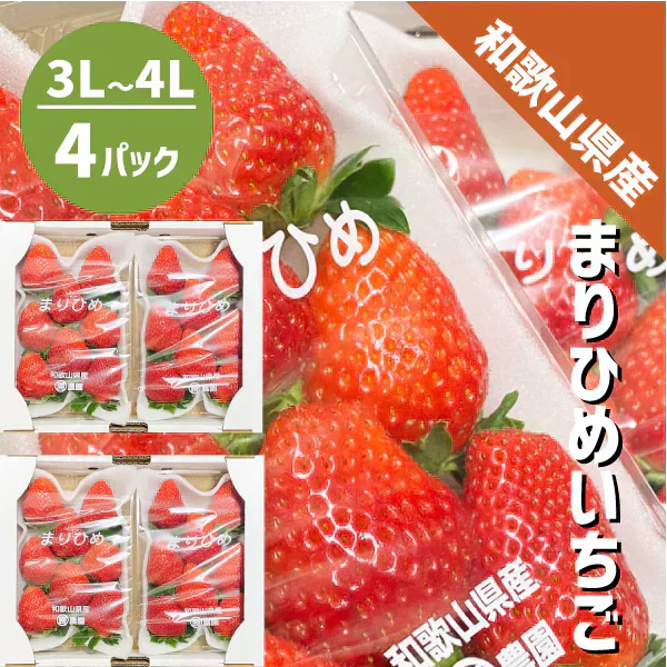 いちご まりひめ 3L〜4L 4パック（300g×4パック）和歌山県産 紀の川市 ブランド 苺 イチゴ 送料無料 贈答 産地