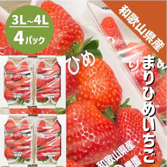 いちご まりひめ 3L〜4L 4パック（300g×4パック）和歌山県産 紀の川市 ブランド 苺 イチゴ 送料無料 贈答 産地