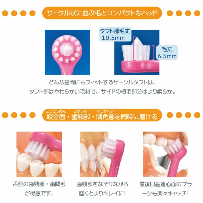 歯ブラシ CIRCLETUFT(サークルタフト) M(ふつう) 12本入 ／ ワンタフト 丸い