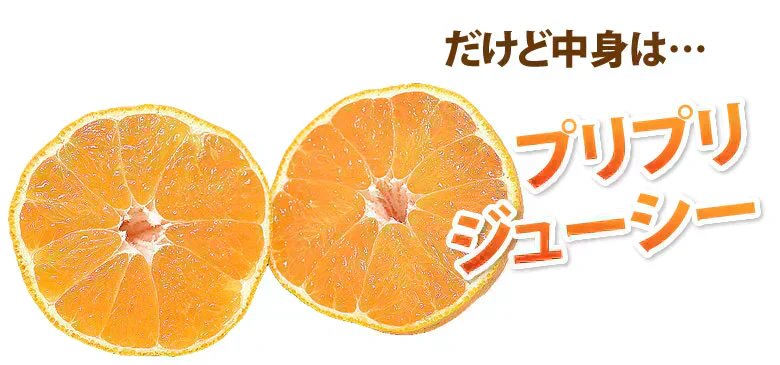 デコポン 同品種 訳ありデコみかん 5kg 箱込 (内容量4kg+補償分500g) 送料無料 熊本県産 フルーツ お取り寄せ みかん ミカン 蜜柑 不知火