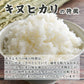 【白米】兵庫県産 キヌヒカリ 20kg(5kg×4袋) 精白米 国産 国産キヌヒカリ100％ 送料無料 精米工場からの直送品