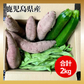 〔合計2kg〕野菜セット (ジャンボいんげん500g+ズッキーニ500g(2本)＋さつまいも(1kg3-5本) 鹿児島県産
