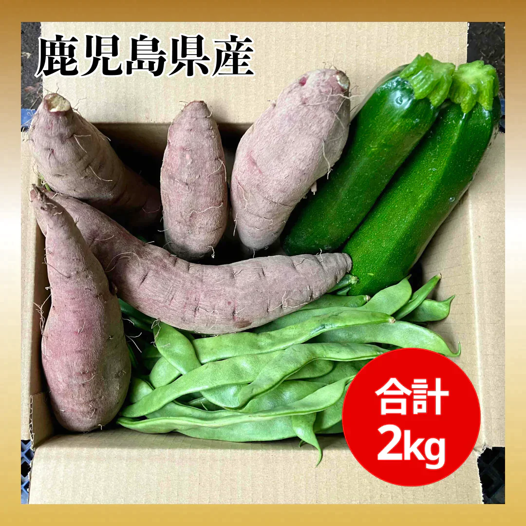 〔合計2kg〕野菜セット (ジャンボいんげん500g+ズッキーニ500g(2本)＋さつまいも(1kg3-5本) 鹿児島県産