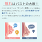 【ネイビー/S-M】 ナイトブラ 《ラクブラ24 ノーマル》 育乳ブラ 大きいサイズ ブラジャー インナー ノンワイヤー お試し ルームウェア 小胸 育乳 楽ブラ 脇肉 ブラ おやすみブラ 下着 レディース かわいい / Premina プレミーナ