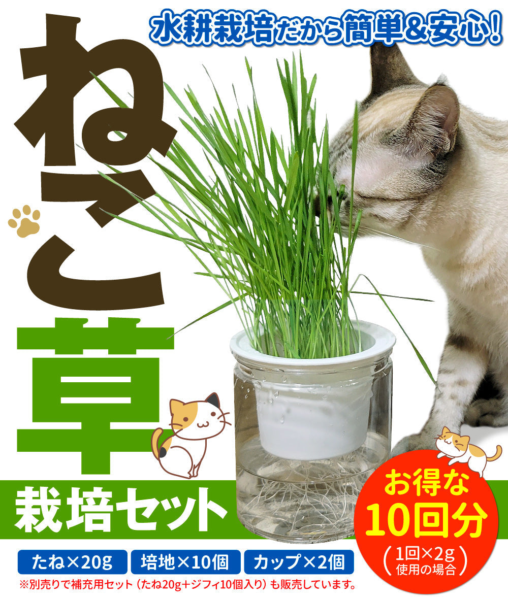 猫草 水耕栽培 ねこ草栽培セット（10回分）種20g ジフィ10個 容器2個[発送は翌年1月～となります。]