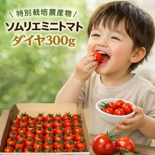 ＼24日受付終了／即日発送【特別栽培農産物】ソムリエミニトマト　ダイヤ　３００ｇ（補償100g込み）※補償分以上の不良は交換対応可能【カウシェファーム収穫対象商品】