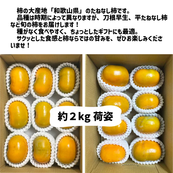 柿 和歌山県産 たねなし 約２kg (７〜１０玉) ご家庭用 刀根 平たねなし 種無し 平核無柿 刀根 早生柿 送料無料 柿 カキ