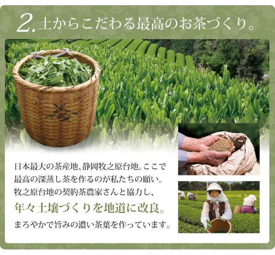 日本橋いなば園 静岡県産 上級深蒸し茶 おもむき 100g ネコポス メール便送料無料