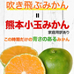 小玉 みかん 訳あり 送料無料 1.5kg 小粒 ミカン 柑橘 熊本 極早生 3s-sサイズ 家庭用 7-14営業日以内に出荷予定(土日祝除く)【ご新規さん限定商品】
