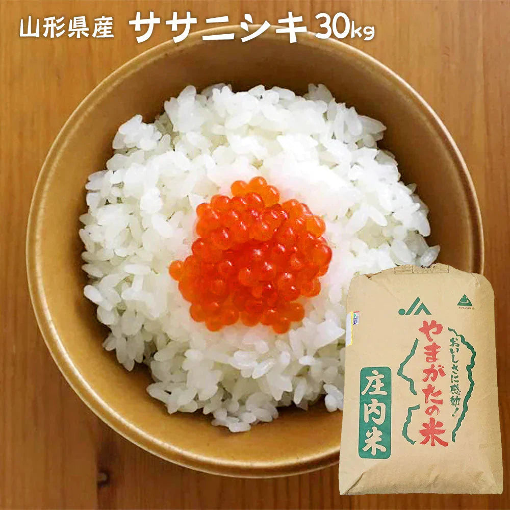 ササニシキ 無洗米 30kg (精米後27kg) 山形県産 令和7年産 送料無料 米 30キロ こめ コメ お米 精米 新米 お米30kg ササニシキ30kg ササニシキ30キロ ささにしき30kg ささにしき30キロ