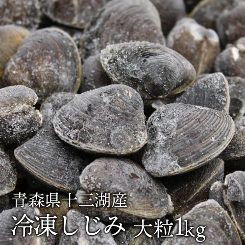 青森県十三湖 冷凍 しじみ 大粒 （ヤマトシジミ）1kg  砂抜き不要