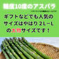 500g【朝採順次発送中】北海道産アスパラガス500g グリーンアスパラ アスパラ