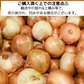 【有名飲食店 / ホテルも愛用】つやつやたまねぎ 10kg 野菜 根菜 玉葱 玉ねぎ タマネギ サラダ 市場 果物 料理 カレー 惣菜 ギフト【ご新規さん限定商品】