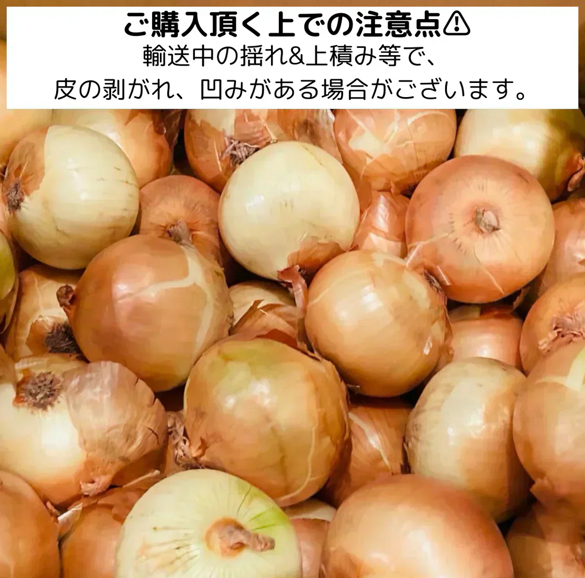 【有名飲食店 / ホテルも愛用】つやつやたまねぎ 10kg 野菜 根菜 玉葱 玉ねぎ タマネギ サラダ 市場 果物 料理 カレー 惣菜 ギフト【ご新規さん限定商品】