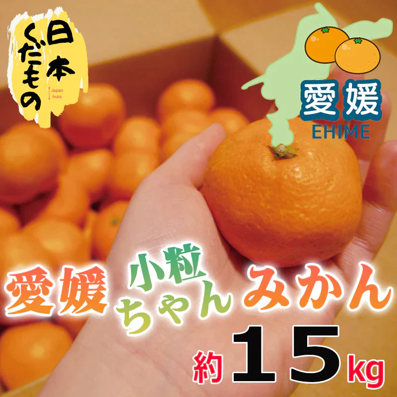 愛媛県産 みかん 小粒ちゃん 15kg 訳あり家庭用 柑橘