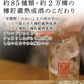 宝酒造 宝焼酎 20度 4000ml 4L×4本/1ケース