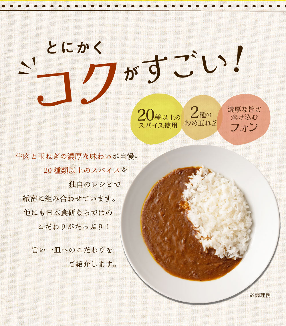 食研カレー 4食 (200g×4) 日本食研 中辛 送料無料 レトルトカレー 非常用 防災 備蓄 フード