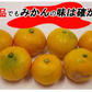 みかん 訳あり 送料無料 5kg B品 愛媛みかん 温州みかん ミカン 蜜柑 安い 甘い 箱買い 産地直送 愛媛県産 YDF-001
