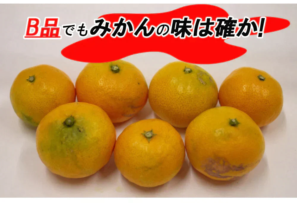 みかん 訳あり 送料無料 5kg B品 愛媛みかん 温州みかん ミカン 蜜柑 安い 甘い 箱買い 産地直送 愛媛県産 YDF-001
