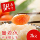 【訳あり・送料無料】大特価！無着色辛子明太子 2kg (1kg×2 or 500g×4)（たっぷり業務用）
