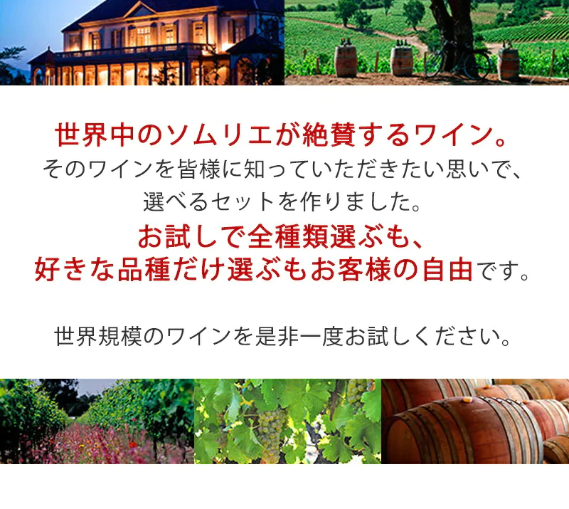 ワイン ワインセット   【送料無料】よりどり選べる コノスル レゼルバ&オーガニック シリーズ 10本  ワインセット【北海道・東北・九州・四国・沖縄県は必ず送料が掛かります】