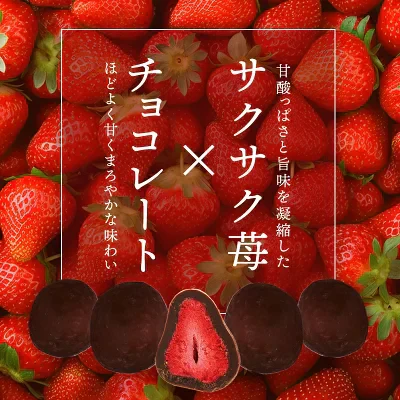 フリーズドライ苺チョコ ミルク 12個×3P ［基本冷蔵/冷凍も可］【送料無料】【2～3営業日以内に出荷】  おしゃれ オシャレ かわいい 可愛い ギフト