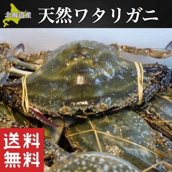 北海道産 内子入り　ワタリガニ 2杯　1杯300g以上