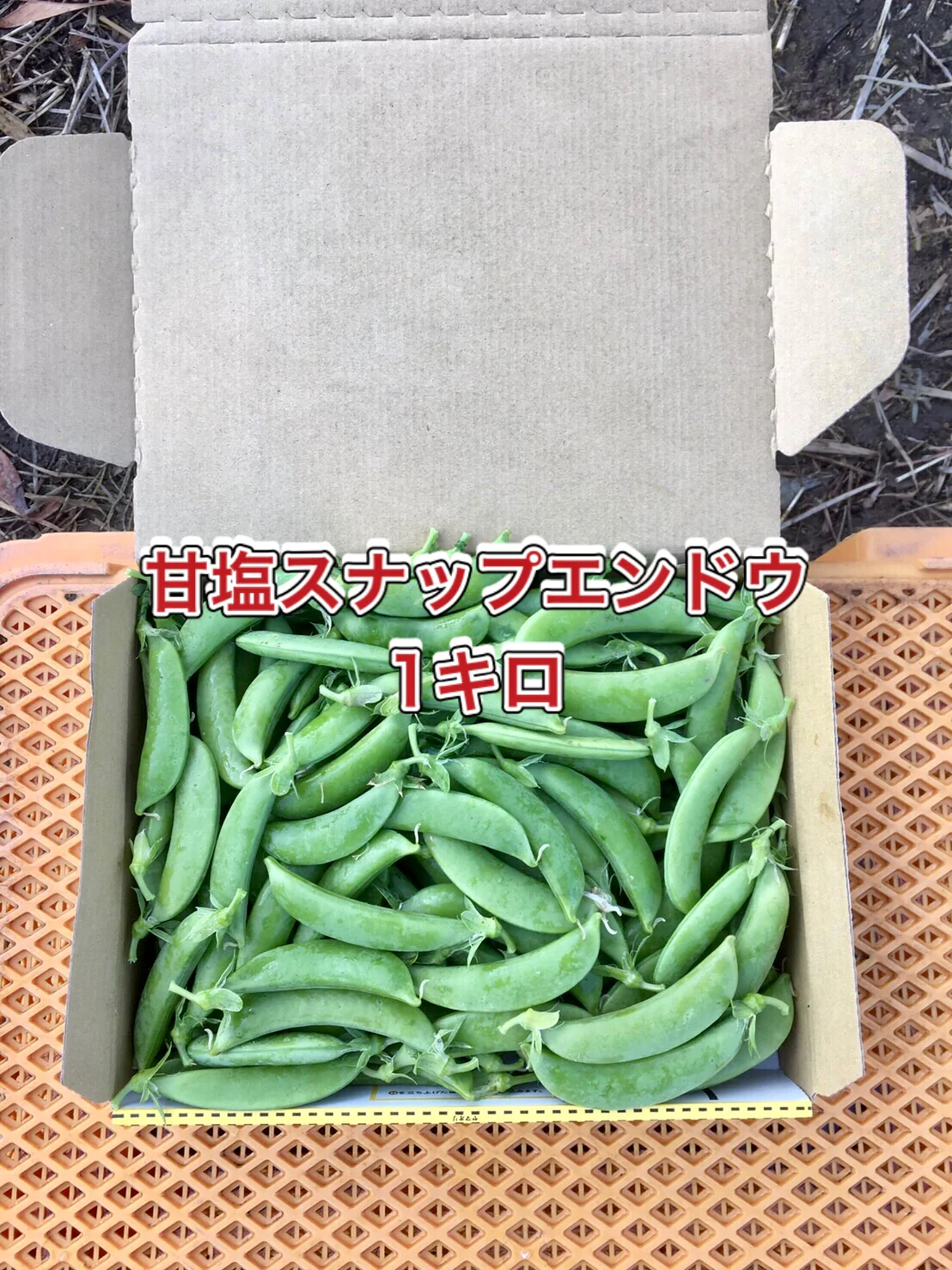 【鹿児島産】甘塩野菜セット4品目^_^