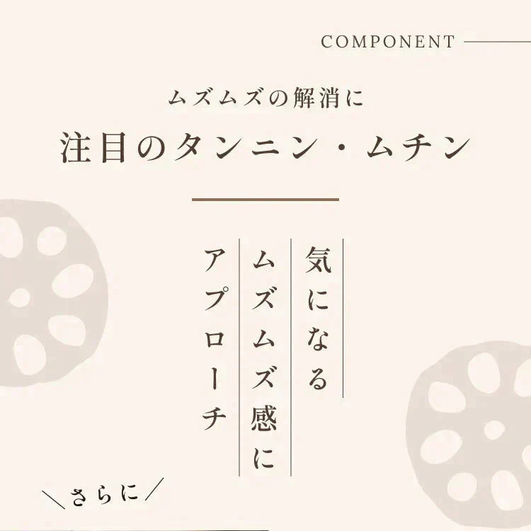 れんこんパウダー 国産 70g 無農薬 粉末 レンコンパウダー ポリフェノール レシピ 離乳食 ヨーグルト スイーツ 食物繊維 タンニン れんこん 蓮根パウダー 野菜パウダー レンコン粉 熊本県産 化学肥料不使用 送料無料