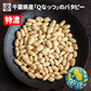 千葉県産Qなっつ大粒バタピー　220g 安心安全千葉県産