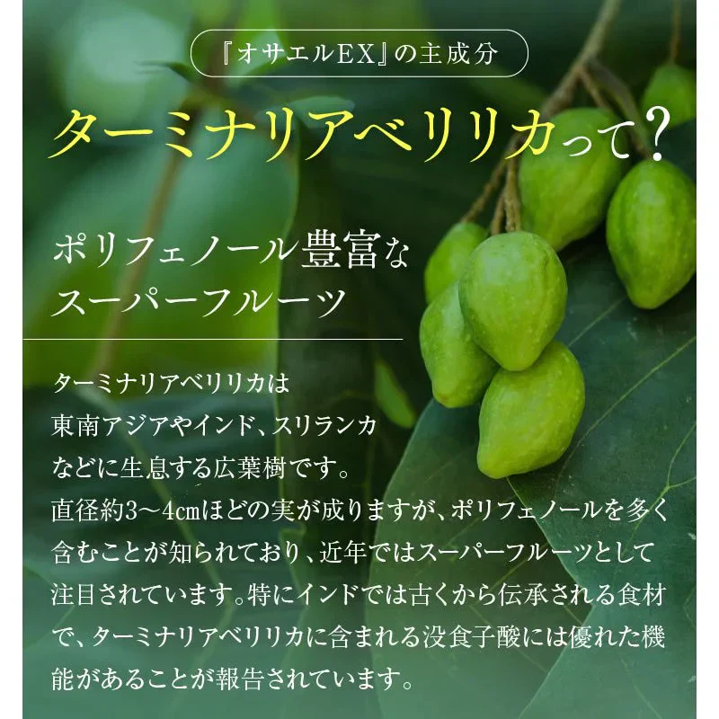 14日分（56粒）オサエルEX 食事に含まれる脂肪や糖の吸収を抑える　肥満気味な方の内臓脂肪とBMIを減らすのを助ける サプリ【MBH公式】
