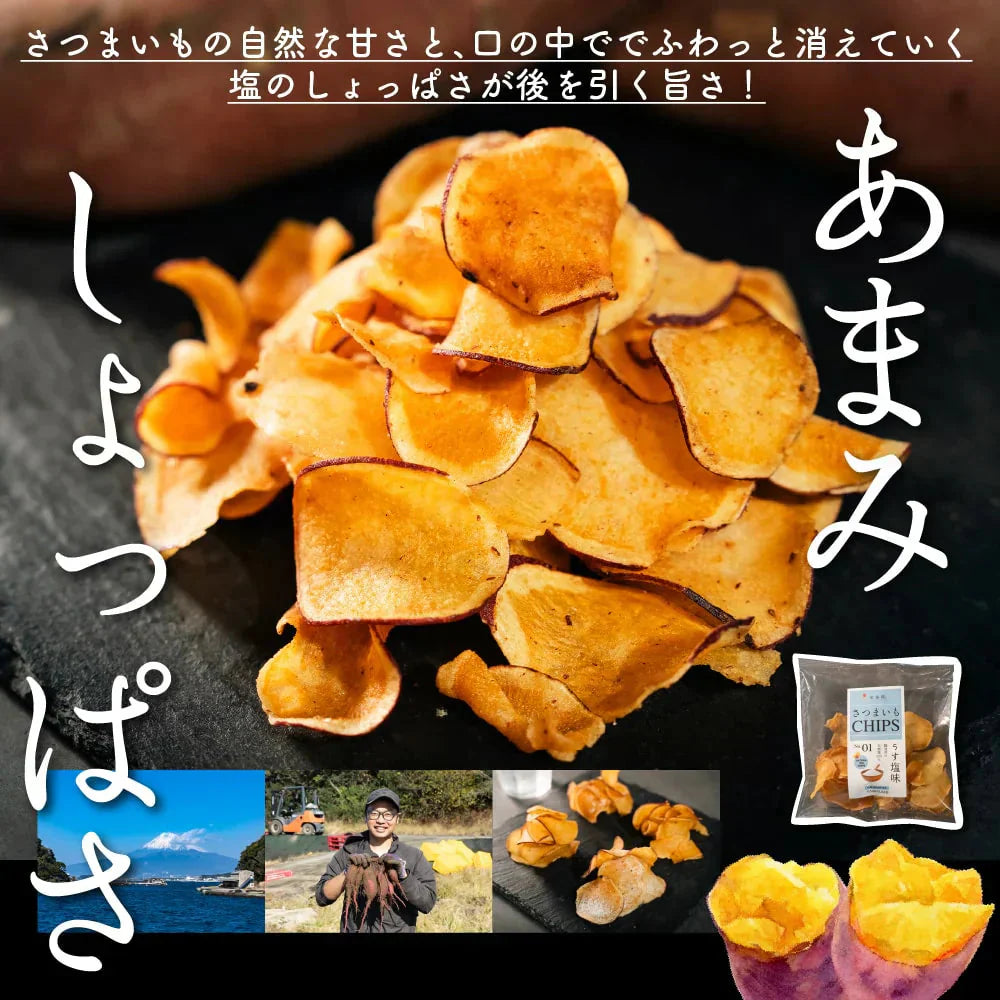紅金波使用さつまいもチップス(駿河湾塩味)×5袋