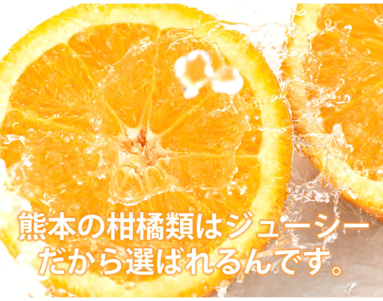 みかん 温州みかん 送料無料 訳あり 2kg 2セット購入で1kgおまけ 3セット購入で3kgおまけ 熊本県産 熊本みかん 蜜柑 ミカン