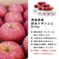 【ただいま発送中！】青森県産 訳あり サンふじ 10kg 数量限定! 家庭用 青森  りんご 林檎 ふじ 果物　フルーツ 送料無料　ks