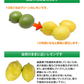 レモン 訳あり 国産レモン 送料無料 5kg 熊本県産 減農薬 防腐剤ワックス不使用 れもん グリーンレモン 国産