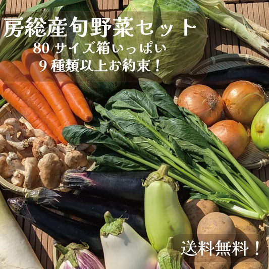 【80サイズ箱にギッシリ！房総産・大地の恵みを味わう得々野菜セット】当日採れたて直送！　野菜80