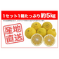 はるか みかん 訳あり 5kg 送料無料 ご家庭用 箱買い B品 サイズミックス 柑橘 フルーツ 産地直送 愛媛県産 YDF-005