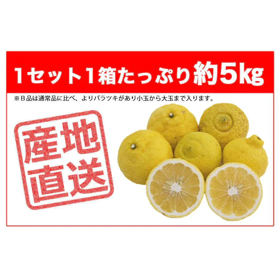 はるか みかん 訳あり 5kg 送料無料 ご家庭用 箱買い B品 サイズミックス 柑橘 フルーツ 産地直送 愛媛県産 YDF-005