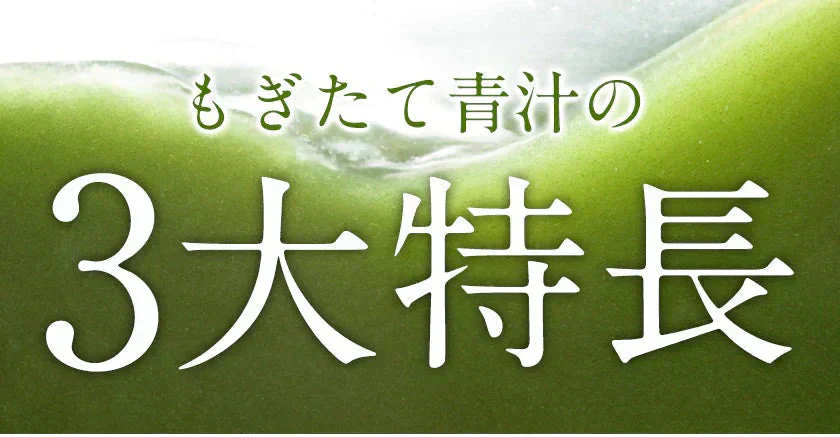 朝摘み もぎたて 青汁 大麦若葉 90g(3g×30包) 送料無料 美味しい 飲みやすい 青汁 乳酸菌 プラセンタ 食物繊維 ダイエット 甘い青汁《3-7営業日以内発送(土日祝除く)》