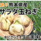 玉ねぎ サラダ玉ねぎ 訳あり 送料無料 10kg 箱込 (内容量9kg+不良補償分500g)  2S〜3L 熊本県産 お取り寄せ お取り寄せグルメ 玉葱 たまねぎ 野菜