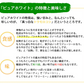 とうもろこし ピュアホワイト 送料無料 約3kg 8～12本入り 九州産 白いとうもろこし 極甘フルーツコーン スイートコーン 雪の妖精