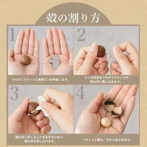殻付きマカダミアナッツ 300g 送料無料【ご新規さん限定商品】