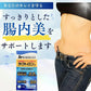 明治薬品 ラクトロン錠 180錠 整腸 腸内環境 便秘 消化不良 胃もたれ　 乳酸菌
