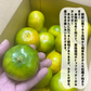 みかん 極早生 和歌山県産 約4kg S〜Lサイズ ご家庭用 紀南 有田 ミカン 極早生みかん ご自宅