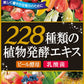 豊生　228種類の植物発酵エキス◆ 井藤漢方製薬 万田酵素 乳酸菌 ビール酵母 健康食品 サプリメント 国産 飲みやすい 野菜不足 食事バランス 健康 ヘルスケア 簡単 補給 30日分 １ヶ月分