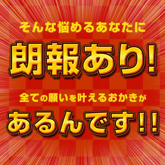 【超得ハイパーSALE】【大容量1kg】 訳あり 割れおかきミックス (500g×2) 送料無料