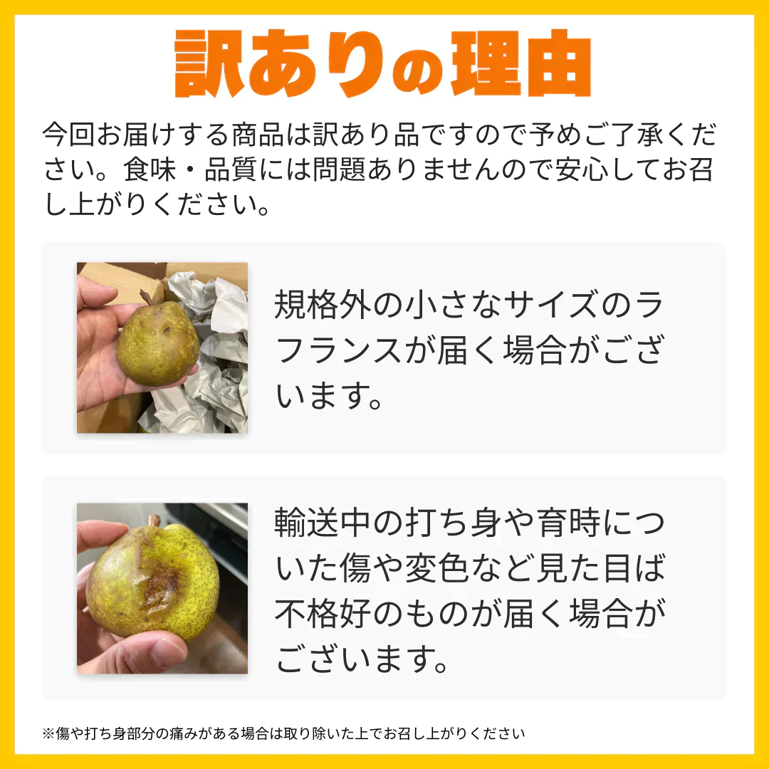 レスキューラフランス 訳あり 規格外 5kg 洋梨 山形県産 家庭用  果物 フルーツフードロス削減・食品ロス削減
