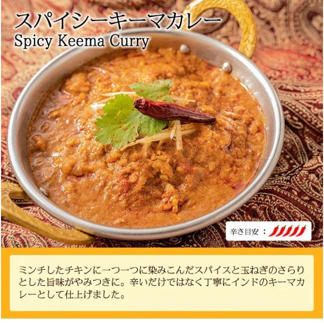 カレー スパイシーキーマカレー 180g×10個 箱入り